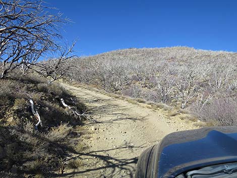 Harris Mountain Road