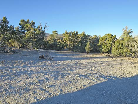 Harris Mountain Road