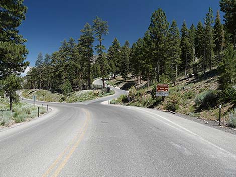 Cathedral Rock Trailhead