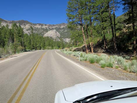 Stanley B Springs Trailhead