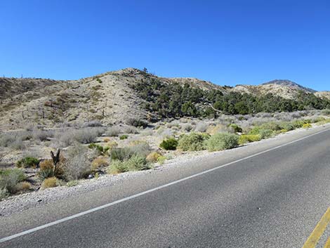 Kyle Canyon Road