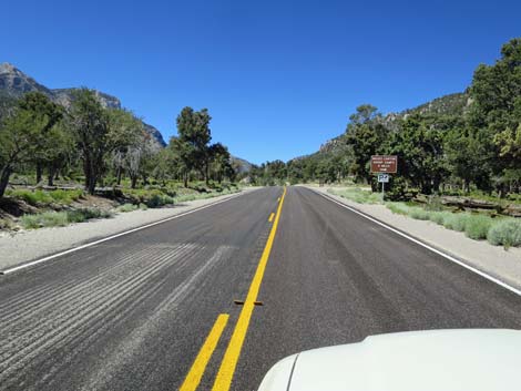 Lee Canyon Road