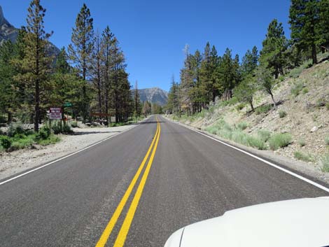 Lee Canyon Road