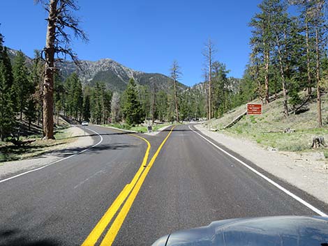 Lee Canyon Road