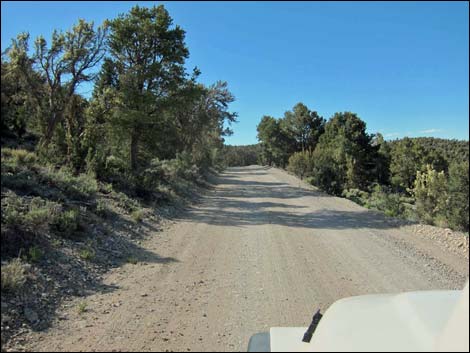 Mack's Canyon Road