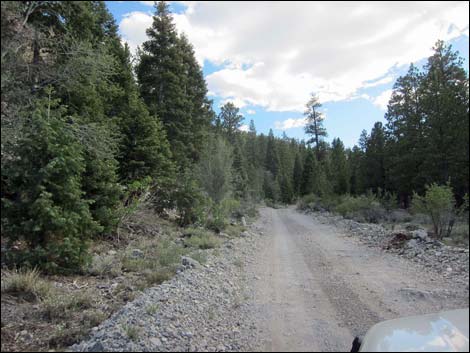 Mack's Canyon Road