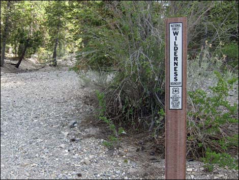 Mack's Canyon Road