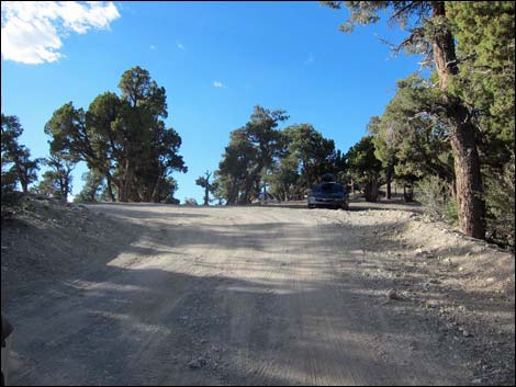 Mack's Canyon Road