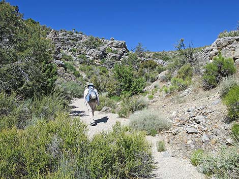 Rocky Gorge Loop Trail