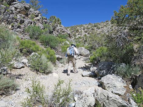 Rocky Gorge Loop Trail