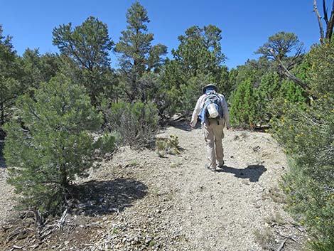 Rocky Gorge Loop Trail