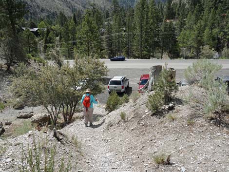 Stanley B Springs Trail