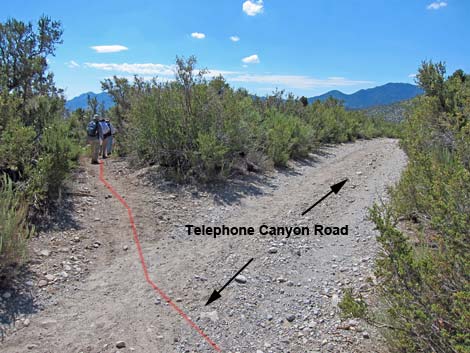 Lower Telephone Canyon Trail