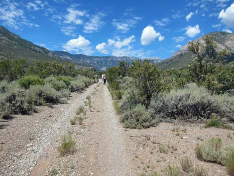 Lower Telephone Canyon Trail