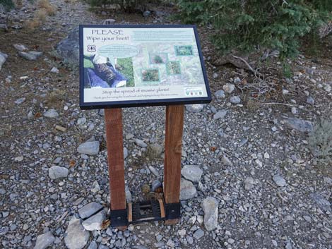 Bonanza Trailhead