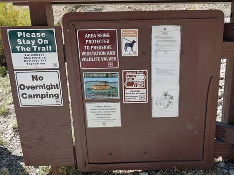 Lower Bristlecone Trailhead