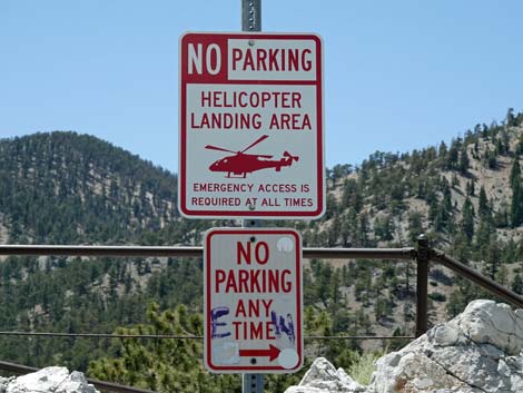 Upper Bristlecone Trailhead