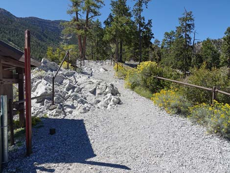 Upper Bristlecone Trailhead