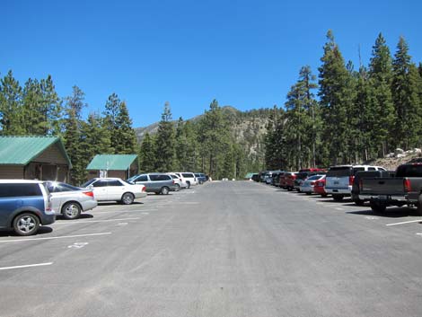 Cathedral Rock Trailhead