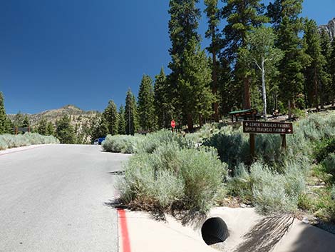 Cathedral Rock Trailhead