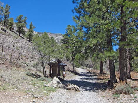 Fletcher Canyon Trailhead