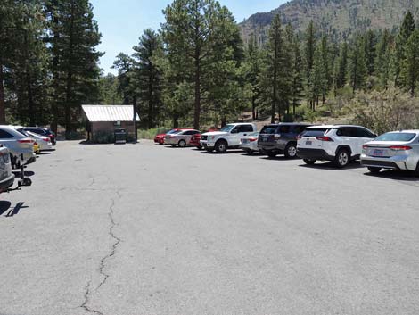 Fletcher Canyon Trailhead