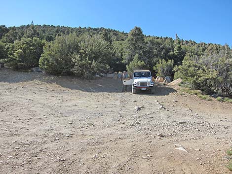 Harris Saddle Trailhead