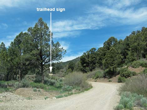 Lovell Canyon Trailhead