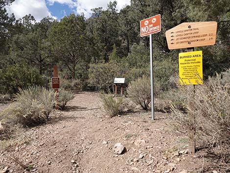 Lovell Canyon Trailhead