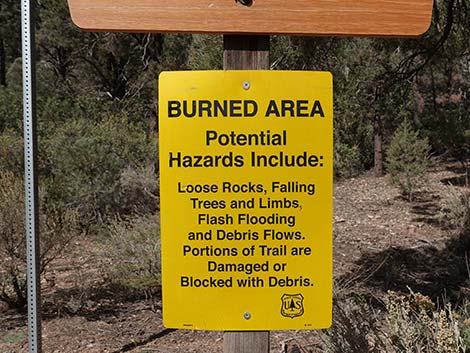 Lovell Canyon Trailhead