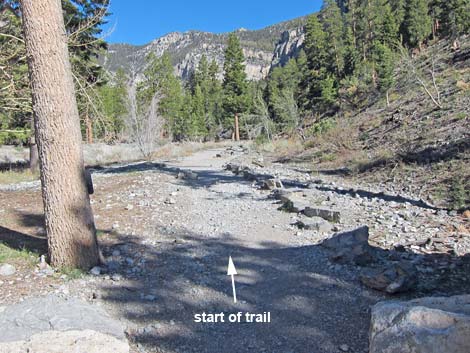 Mary Jane Falls Trailhead