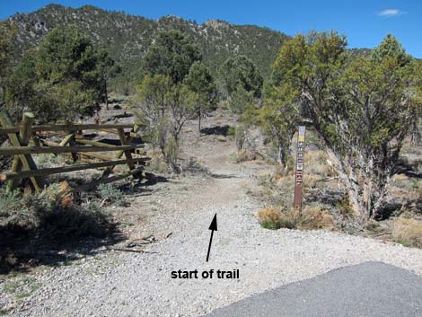 Sawmill Trailhead