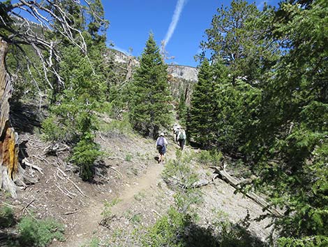 Wildhorse Loop Trail