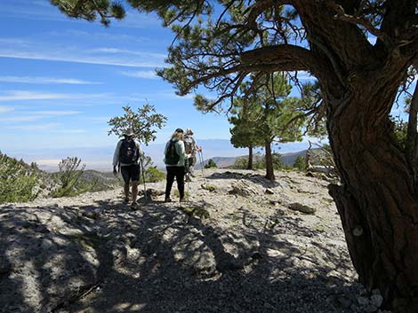 Wildhorse Loop Trail