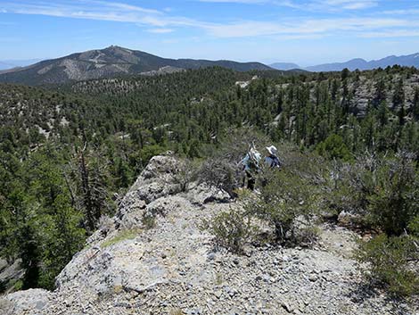 Wildhorse Loop Trail