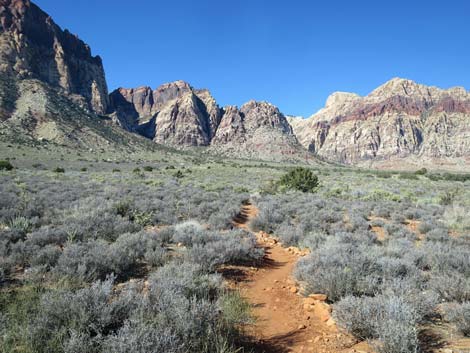 Arnight Trail