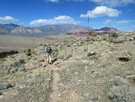 Second Finger Trail