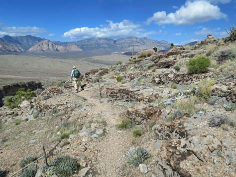 Second Finger Trail