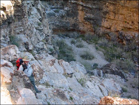 Cave Canyon