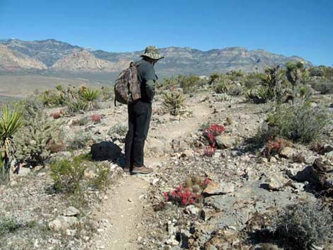 First Finger Trail