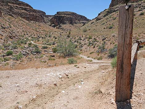 Fossil Canyon Loop