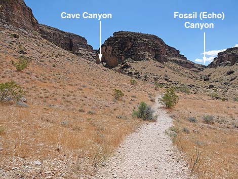 Fossil Canyon