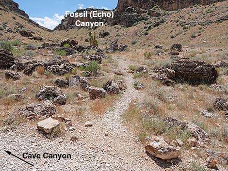 Fossil Canyon Loop