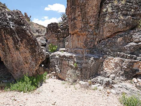 Fossil Canyon Loop