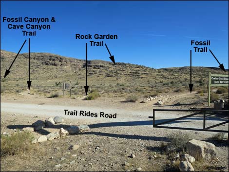 Fossil Canyon Loop