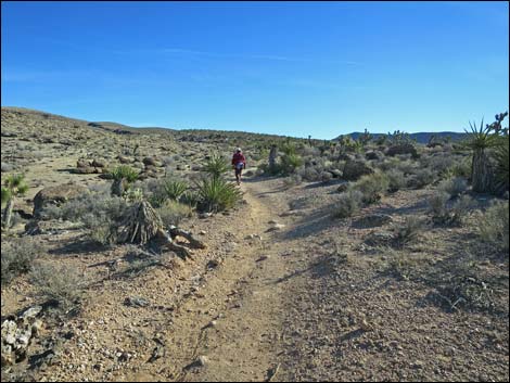 Fossil Trail