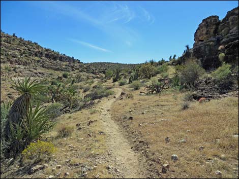 Fossil Trail