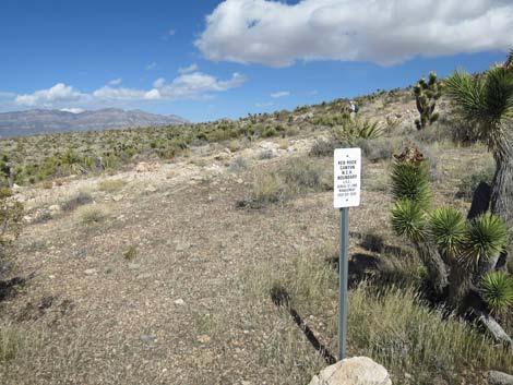 Jeep Trail