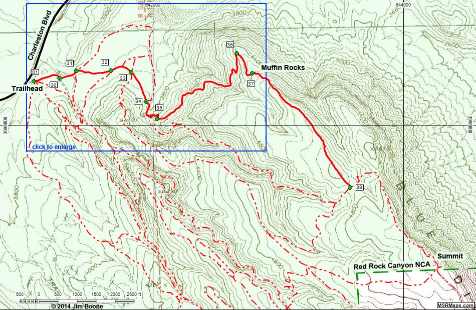 Muffin Trail Map