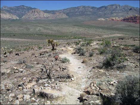 Rock Garden Trail